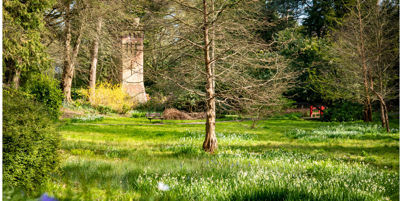 Things to do in Bournemouth - Bournemouth Gardens