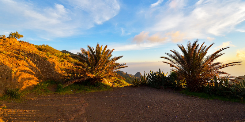 Things to do in Tenerife - Teno Rural Park