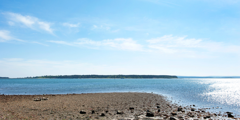 Brownsea Island