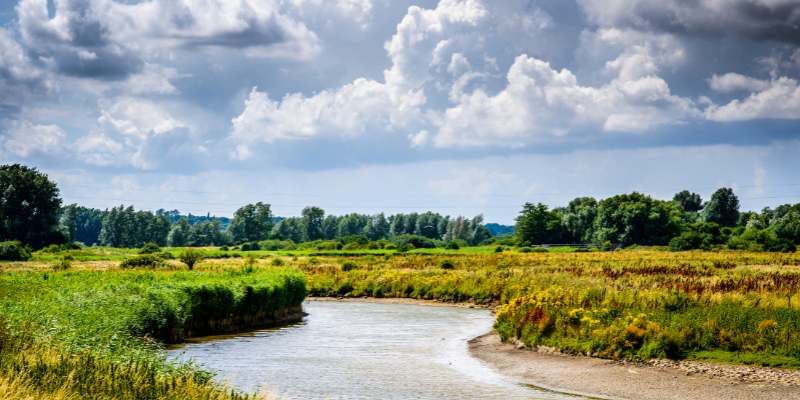 Dedham Vale