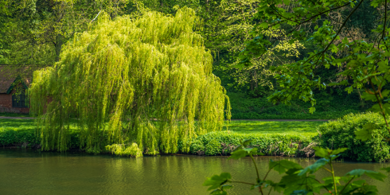 River Wear