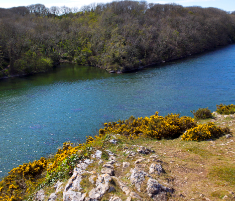 Durdle Door: A Guide to Dorset’s Iconic Landmark