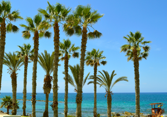 Paphos weather
